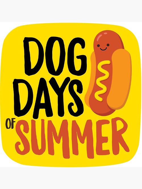 Blue Ash - Dog Days of Summer Party