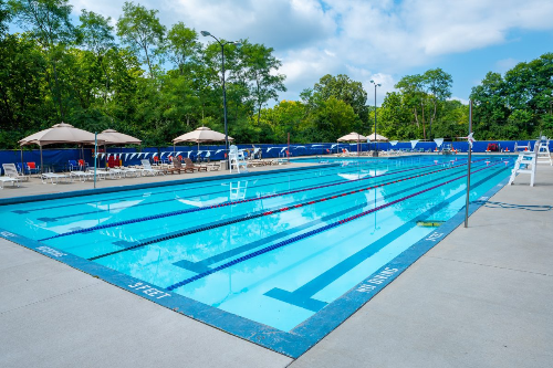Blue Ash - Pool and Flower Beautification
