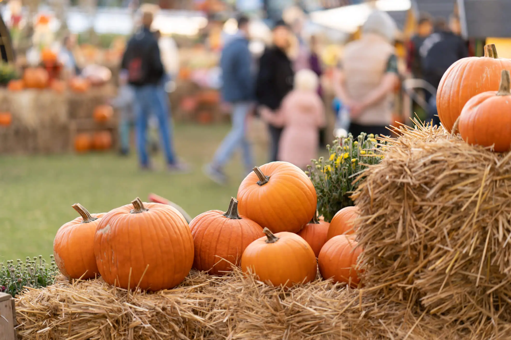 Fall Fest 2026