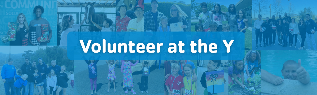 Volunteer Application
