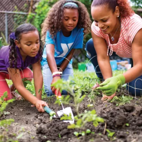 Community Garden Day