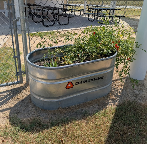 Planter Box Refresh