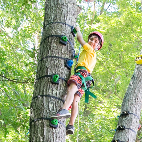 Camp Wiggi Cadet 2026