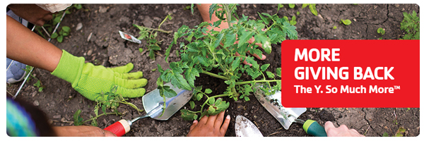 Cultivate Community – Volunteer at Providence Y’s Garden!
