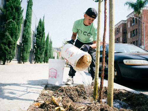 USC Hybrid High Introventure Week: Tree Maintenance