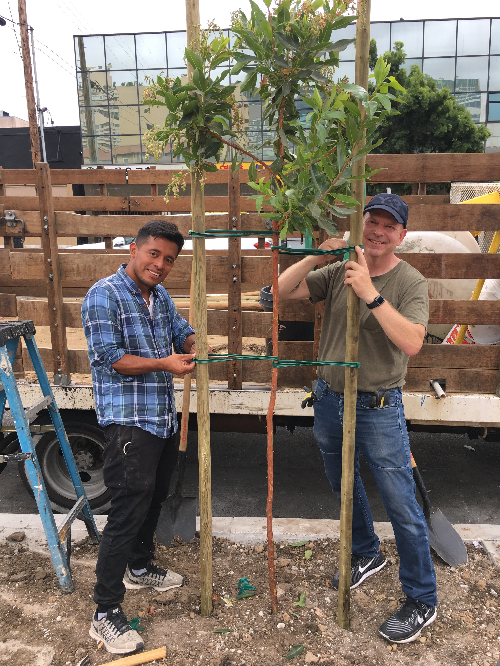Jefferson Park: Community Planting Event