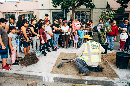 Community Tree Planting Event (Mid-Wilshire)