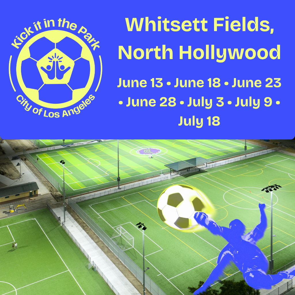 Whitsett Fields: Kick It In the Park (Council District 2)