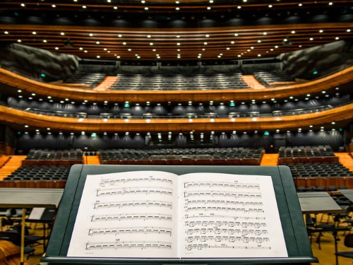 Fall Concert Help
