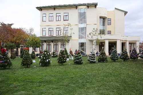 2025 Christmas in Pardini Park Tree Clean Up