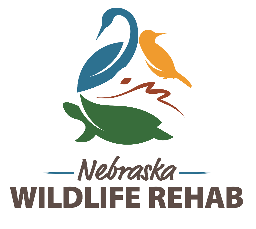 Special Events & Projects