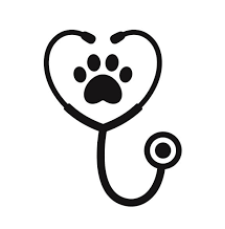 Vet Extern