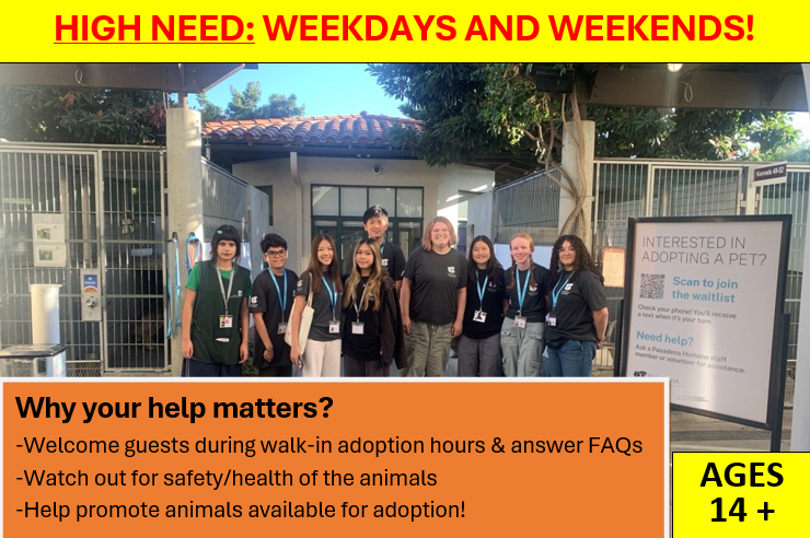 *Weekday Adoptions & (Weekend) Visiting Hours