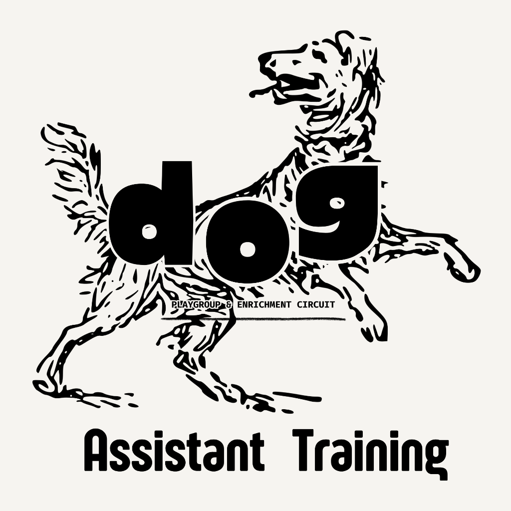 Dog Playgroup & Enrichment Circuit Assistant
