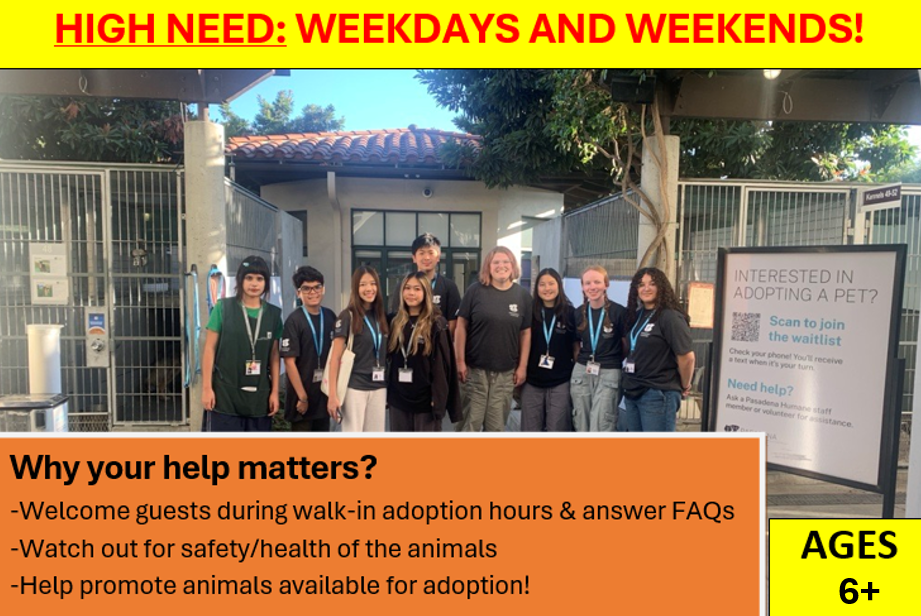 .Walk-in Adoptions & Visiting Hours