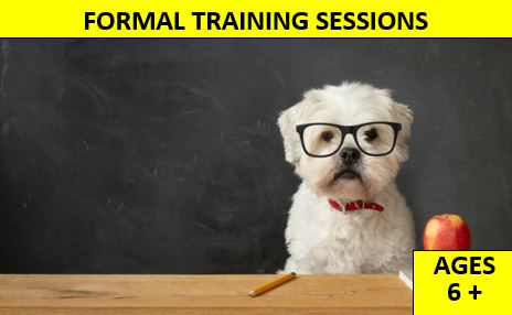 .In-person Training