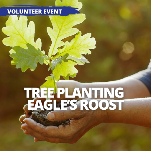 Event - Tree Planting at Eagle's Roost