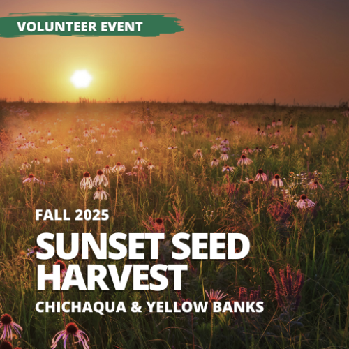 Event - Sunset Seed Harvest