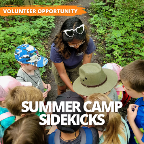Environmental Education - Summer Camp Sidekick