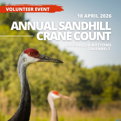 Event - Crane Count 2026: Chichaqua Bottoms Greenbelt