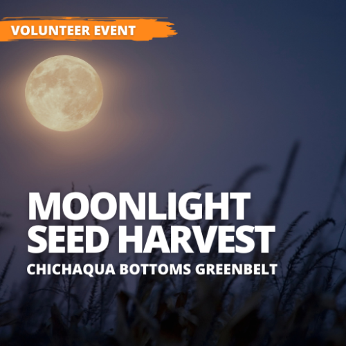Event - Moonlight Seed Harvest