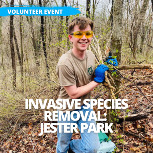 Event - Invasive Species Removal at Jester Park