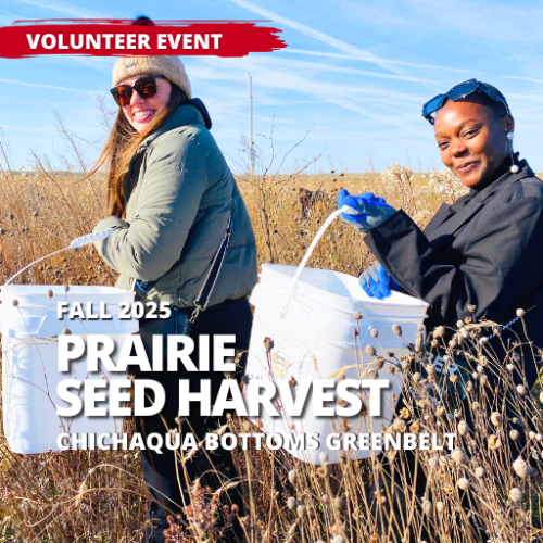 Event - Prairie Seed Harvest