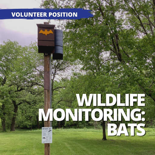Wildlife Monitoring - Bat Boxes