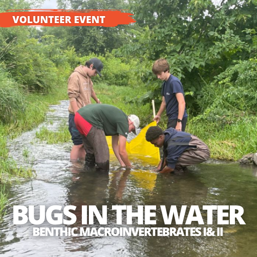 Bugs in the Water – Benthic Macroinvertebrates I & II, Biological Assessment Teams