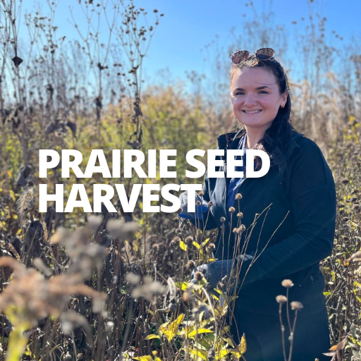 Event - Prairie Seed Harvest