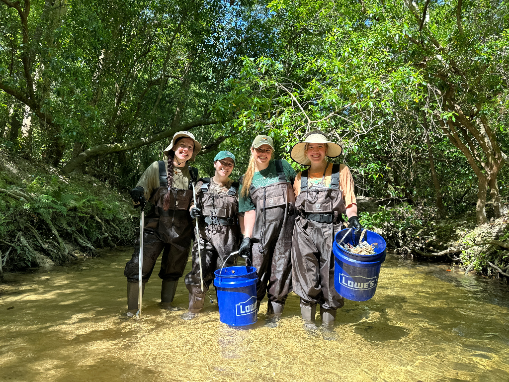 Clean Up Crew