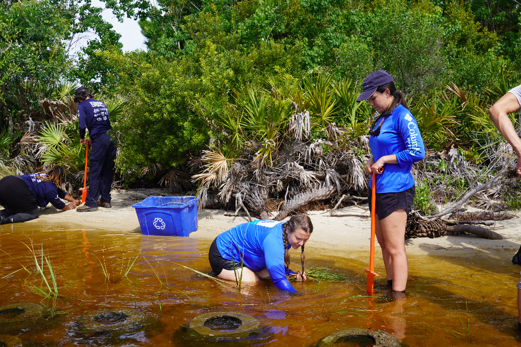 Habitat Restoration Team