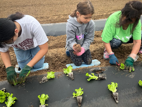 Share the Harvest Community Farm