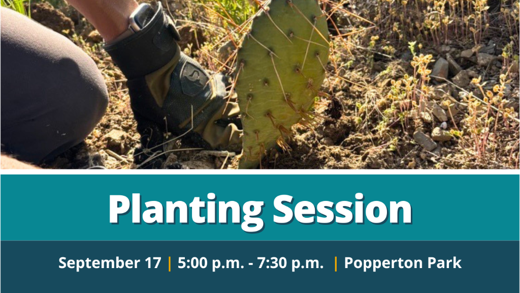 09/17 Planting Session - Popperton Trailhead
