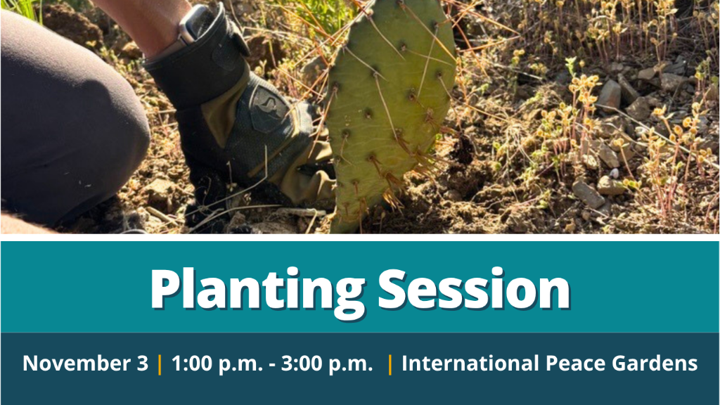 11/03/2026 - Planting and Landscaping Session - International Peace Gardens