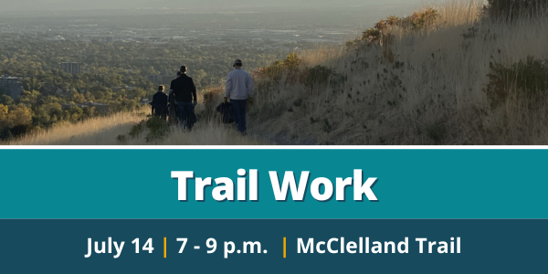 Trail Maintenance Session - McClelland Trail 7/14