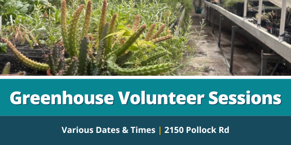 Greenhouse Volunteer Sessions