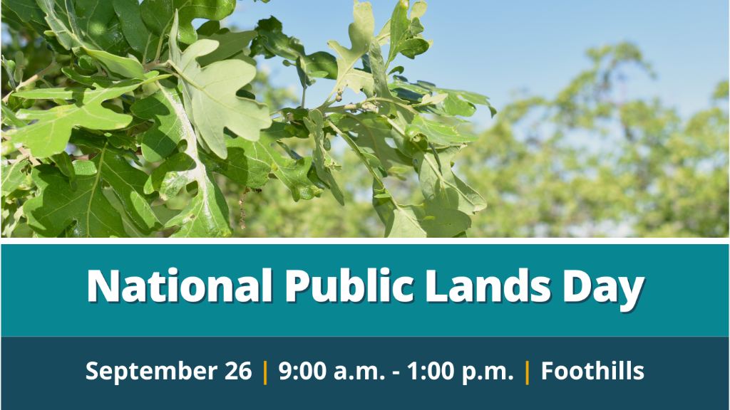 09/26 National Public Lands Day - Cactus Planting