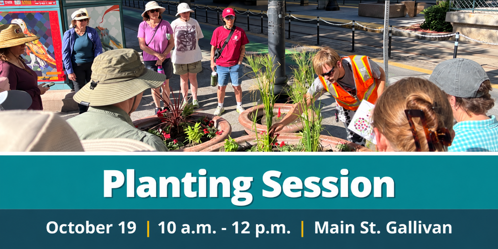 10/19 - Planting Session - Main Street/Gallivan Center