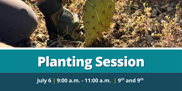 Planting Session - Liberty Park Tennis Beds 7/6