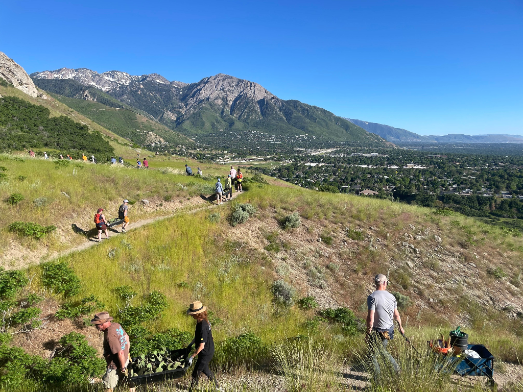 Planting Session - Parley's Point