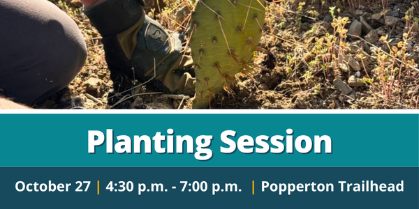 10/27 Planting Session - Popperton Trailhead