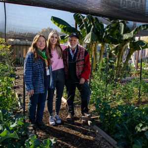 Mesa Urban Farm
