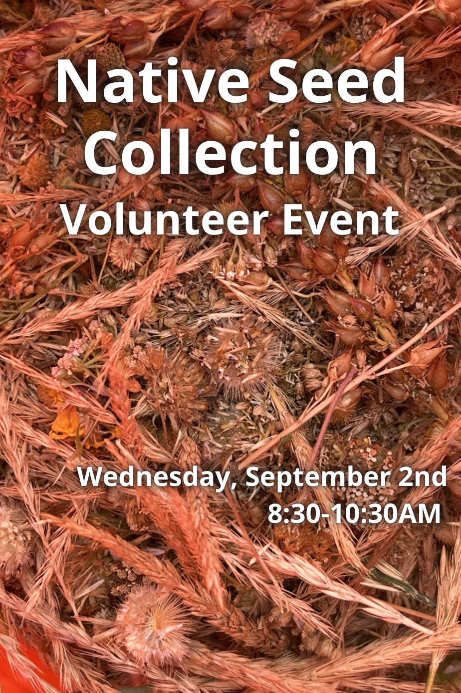 09/02/2026 | Native Seed Collection