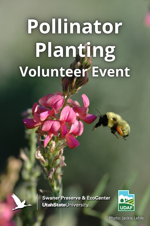 09/10/2025: Pollinator Planting on the Swaner Preserve