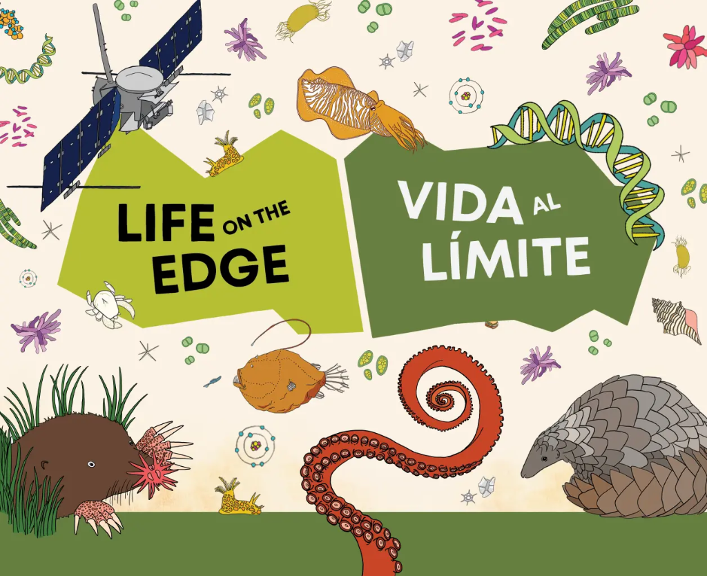 Life on the Edge Family Day