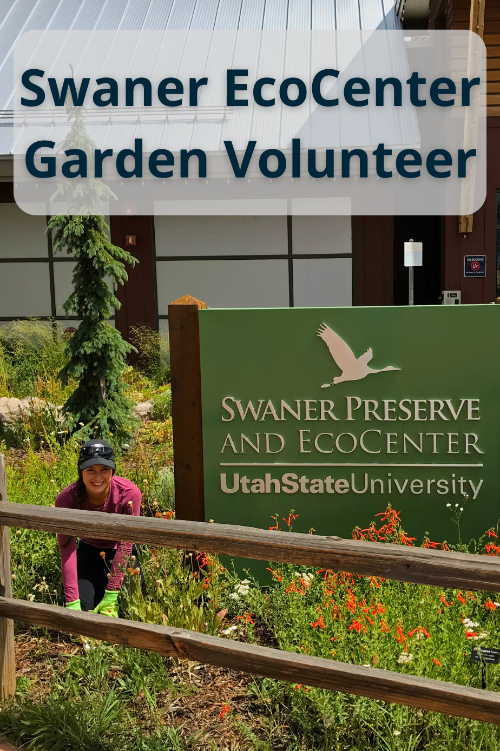 05/20/2026 | Demonstration Garden Volunteer