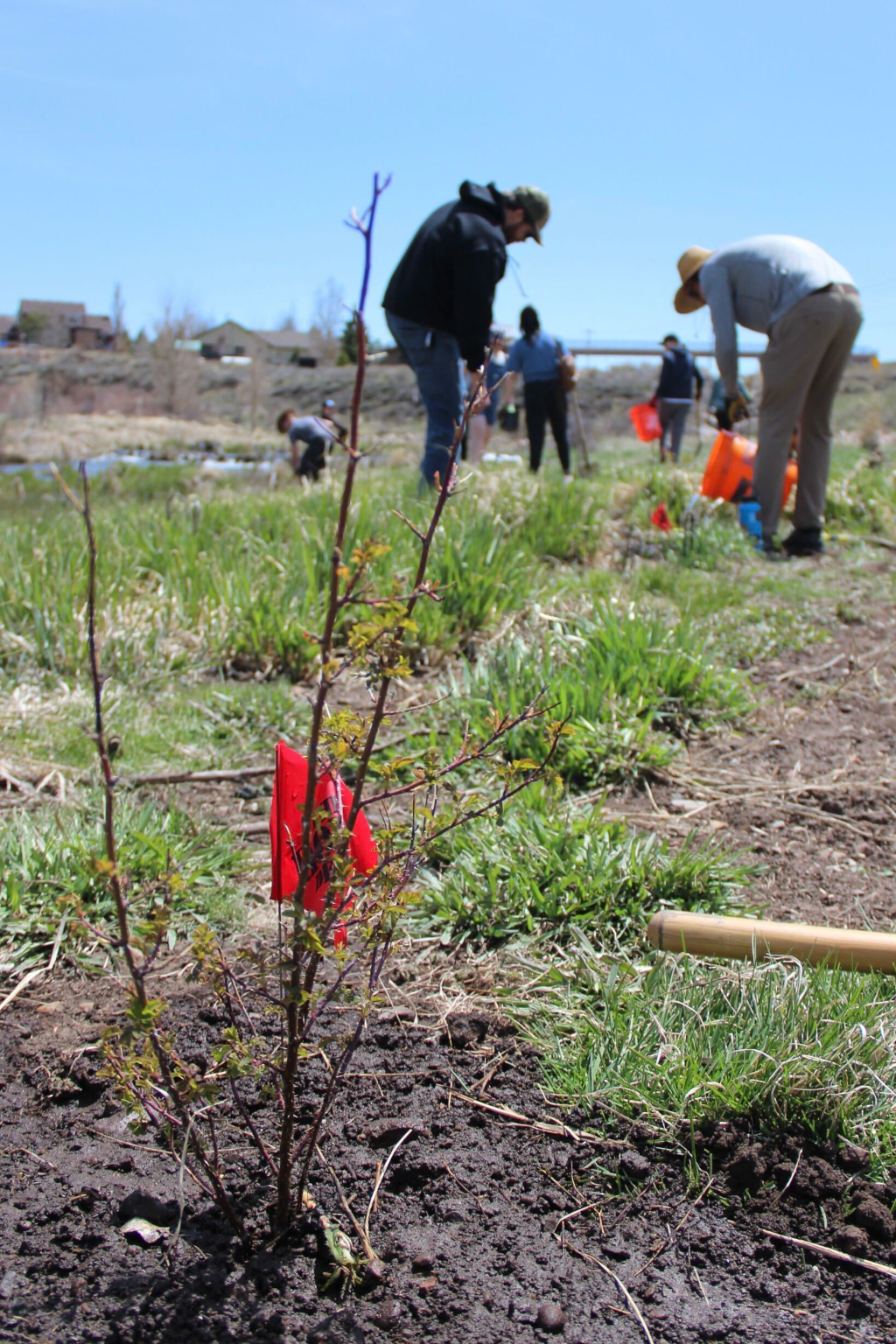 10/14/2026 | Swaner x TreeUtah Tree Planting
