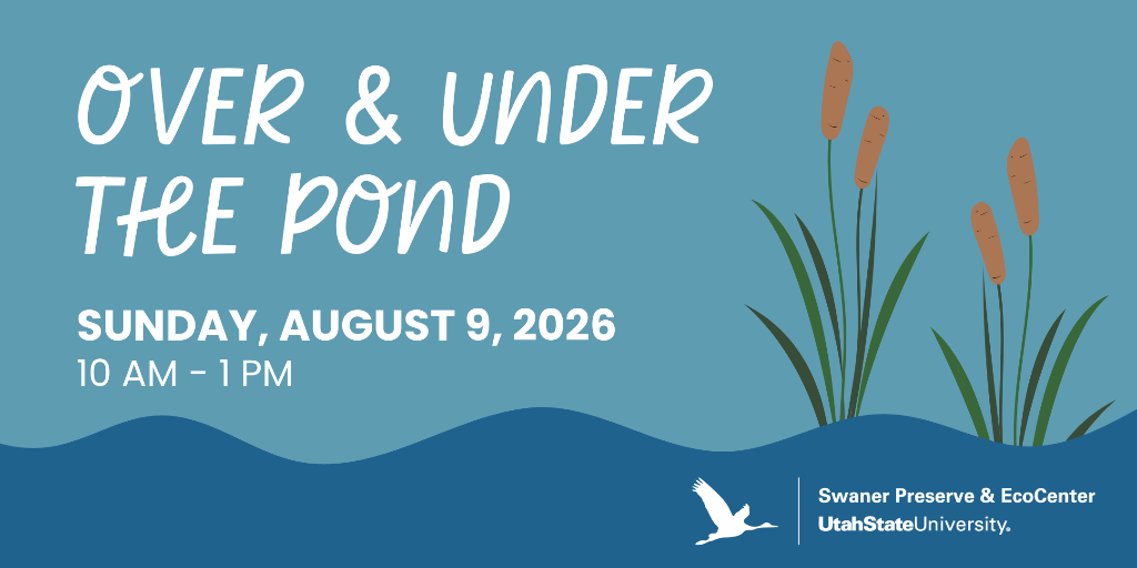 08/09/26 Over and Under the Pond