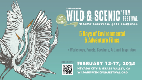 Copy of 260219 Wild & Scenic Film Festival